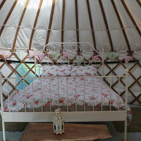 Mill Haven Place Glamping-Yurt 1 Talbenny Bagian luar foto