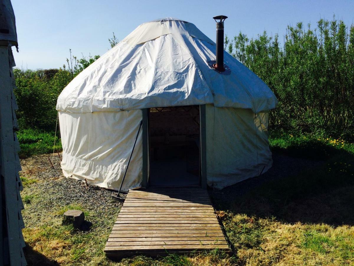 Mill Haven Place Glamping-Yurt 1 Talbenny Bagian luar foto